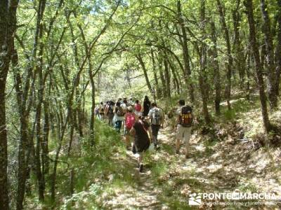 Ascensión a Valdebecerril - senderismo comunidad de madrid; trekking semana santa